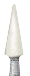 NAS02G