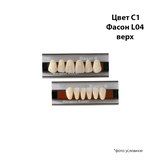 BS6C1L04