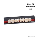 BS8C2FU
