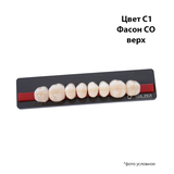 BS8C1CO