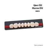 BS8B2DU