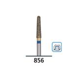 539586S